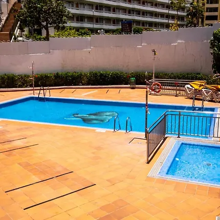 Apartment Elefantes San Bartolome de Tirajana (Gran Canaria)