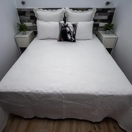 Elefantes * Πλάγια ντελ Ινγκλές